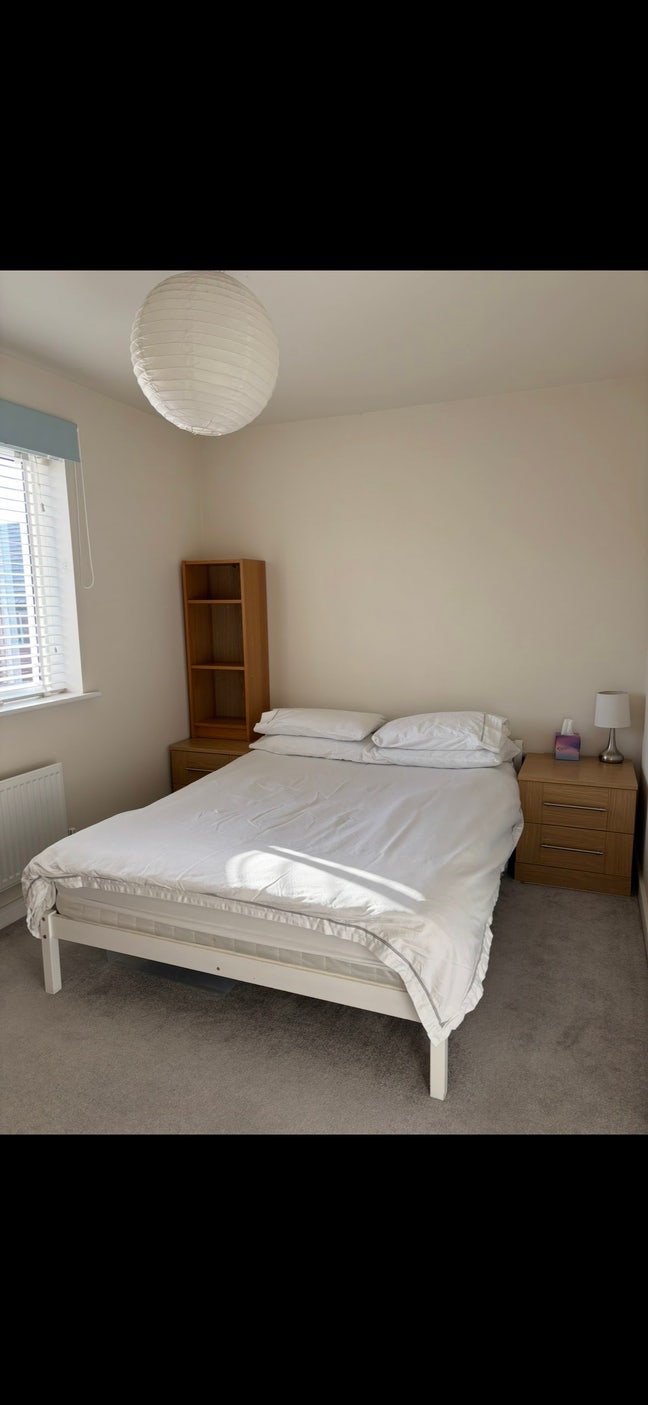 Bright double room in friendly household  Main Photo