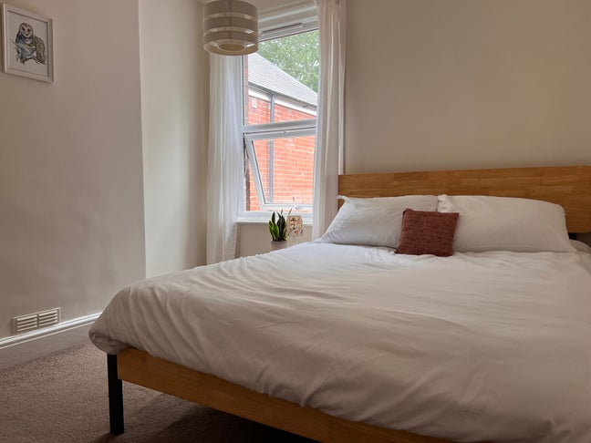 Relaxed Exeter room, top spot, cat included! Main Photo