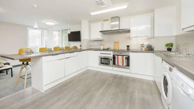Tenant Needed Main Photo