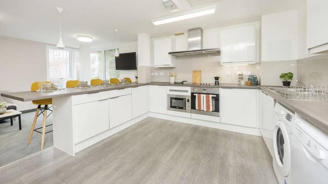 Tenant Needed Main Photo