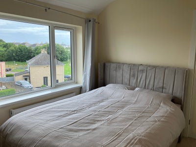 Newly furnished king room in quiet location  Main Photo
