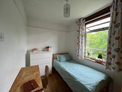  Lovely single room in all female house  Main Photo