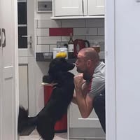 Professional Male seeks a double room Main Photo