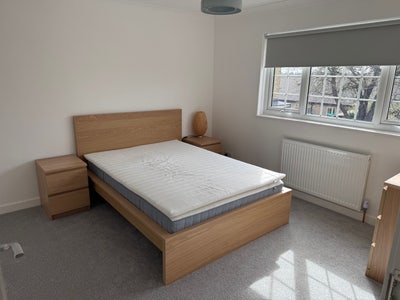 Double furnished room  - professional house share  Main Photo
