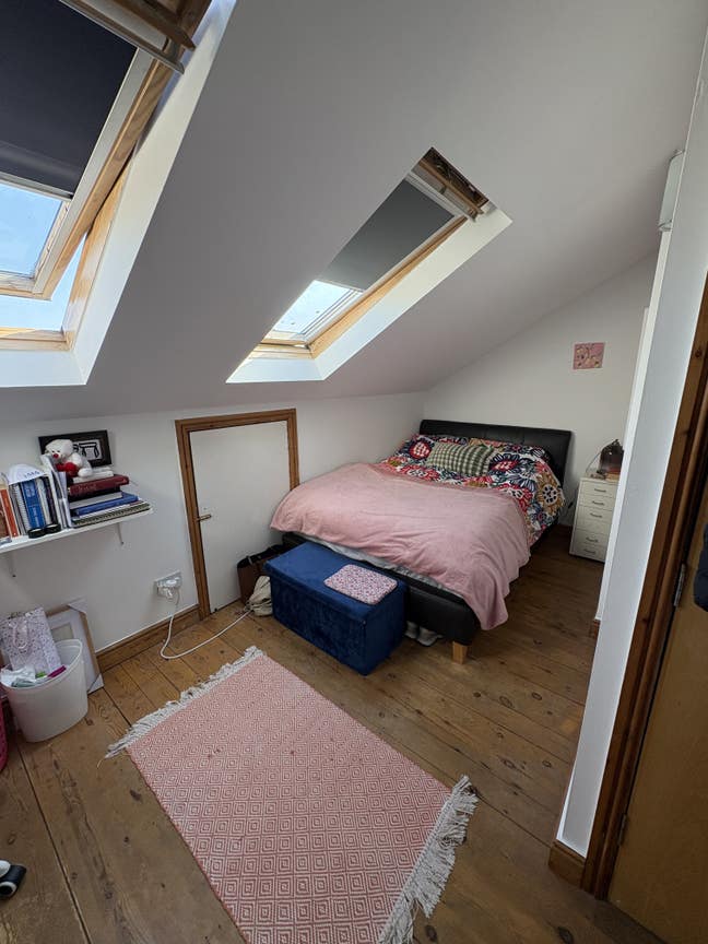 Social and Friendly Female Professional House! 🏠  Main Photo