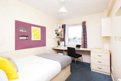 1 spacious Ensuite room near UoA Main Photo