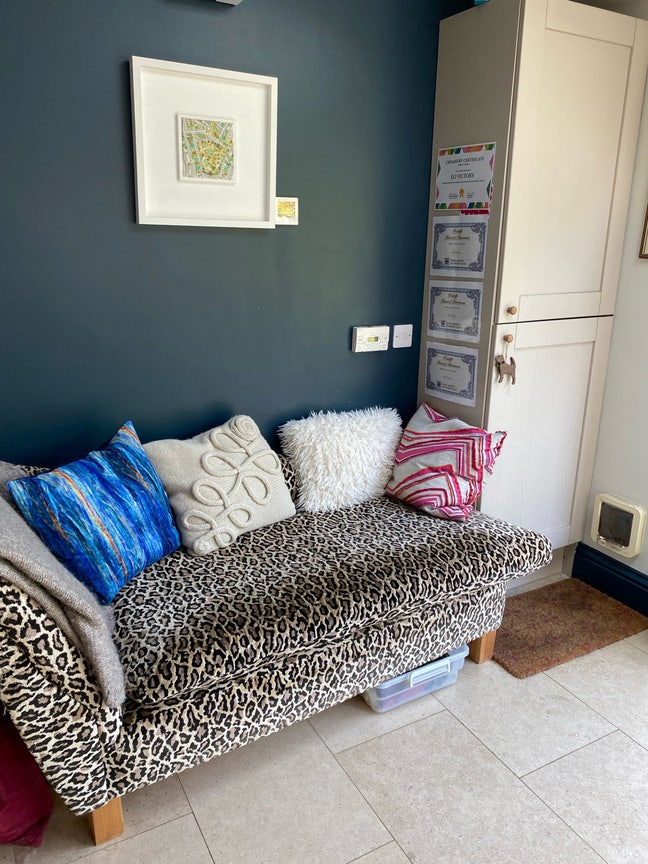 1 single room in family house with small dog & cat Main Photo