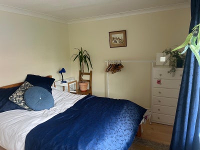 Lovely light spacious double room available.  Main Photo