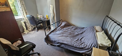 Large Double Room | Male Professional | 28 Aug Main Photo