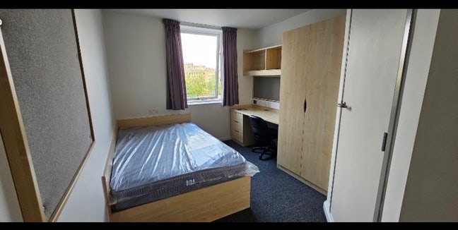 Needing a student to cover my tenancy Main Photo