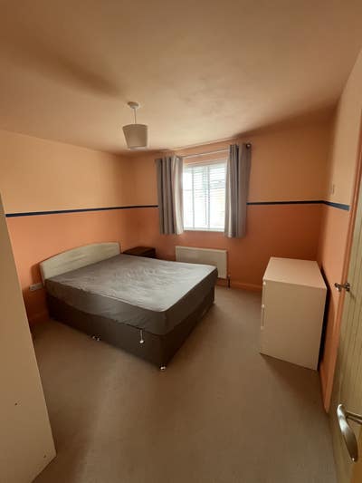 Room to Rent in Alphington Main Photo