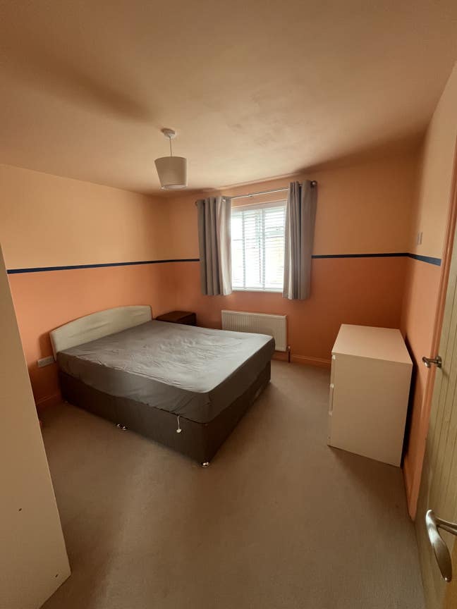 Room to Rent in Alphington Main Photo