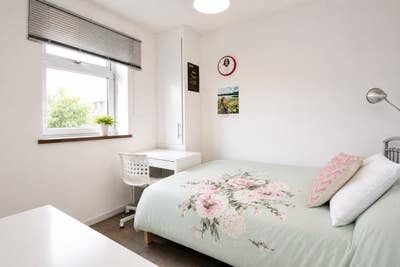 4 Big Room All Bills Included Great Transport 🚆✨ Main Photo