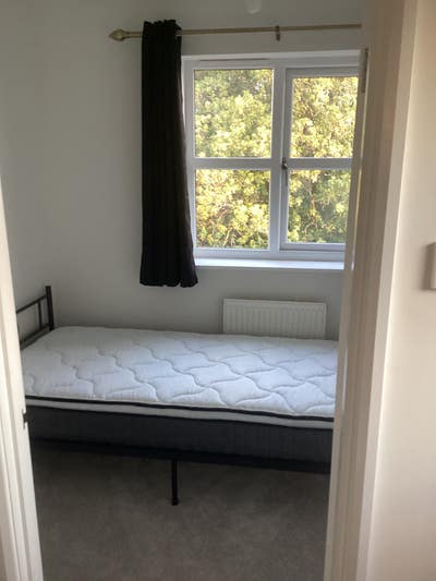 Single room in Chippenham Main Photo