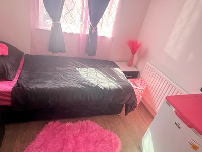 JUST GIRLS !!!!! Single room all bills included ! Main Photo