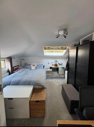 Room available in friendly flat near Victoria Park Main Photo