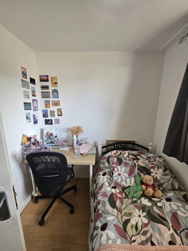 I am looking for a new flatmate🐾 Main Photo