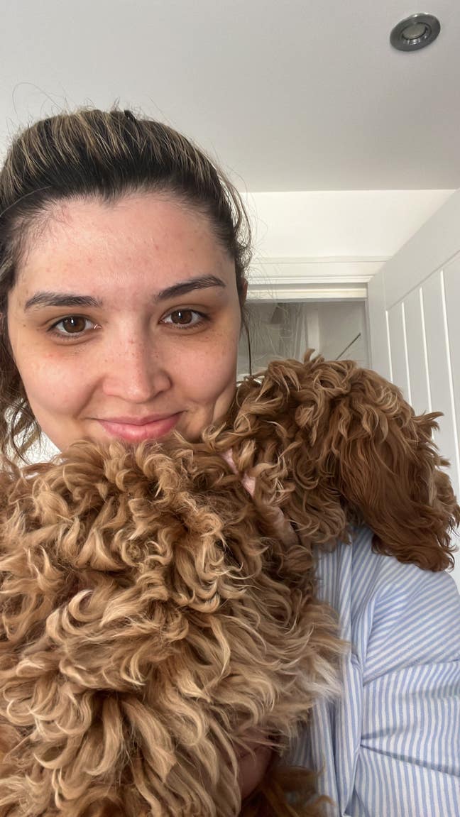 Pup owner, professional searching for a cosy home Main Photo