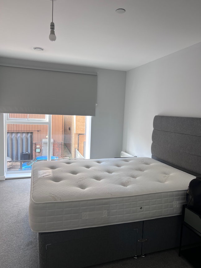 Professional flatmate wanted  Main Photo