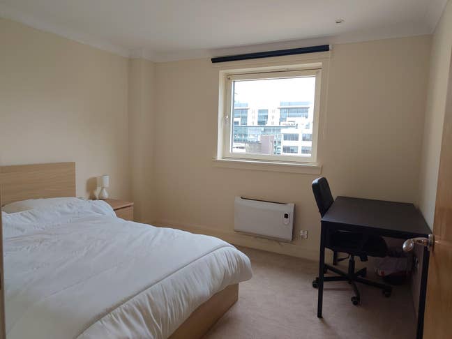 Spacious double room city centre-Vegans preferred Main Photo