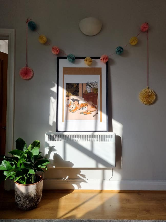 Bright 1 bedroom flat in Notting Hill  Main Photo
