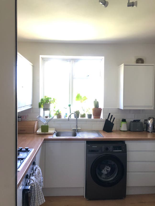 1 bedroom flat brockley Main Photo