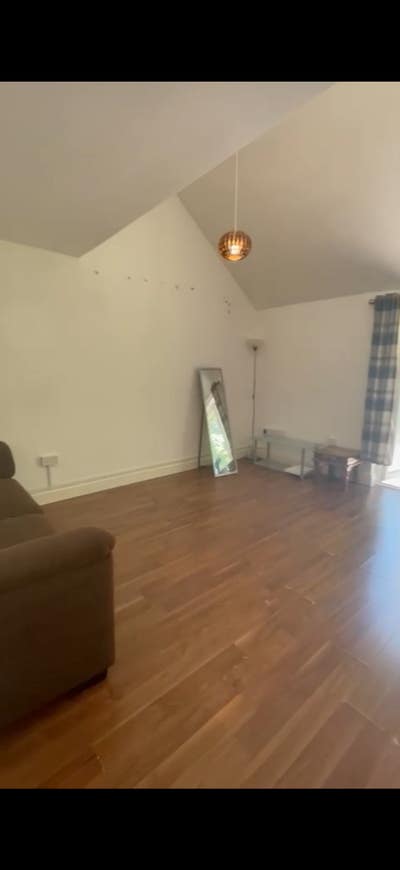 3 Recent Masters Graduates Seeking Housemate  Main Photo