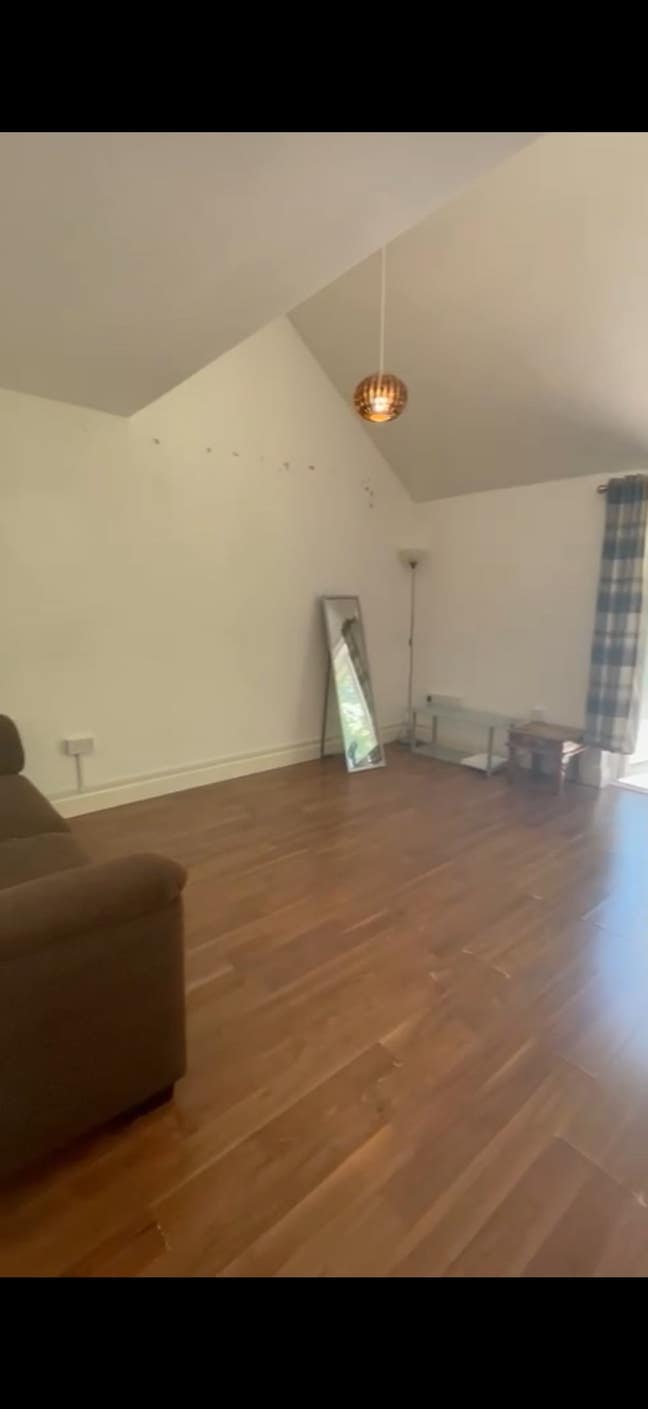 3 Recent Masters Graduates Seeking Housemate  Main Photo