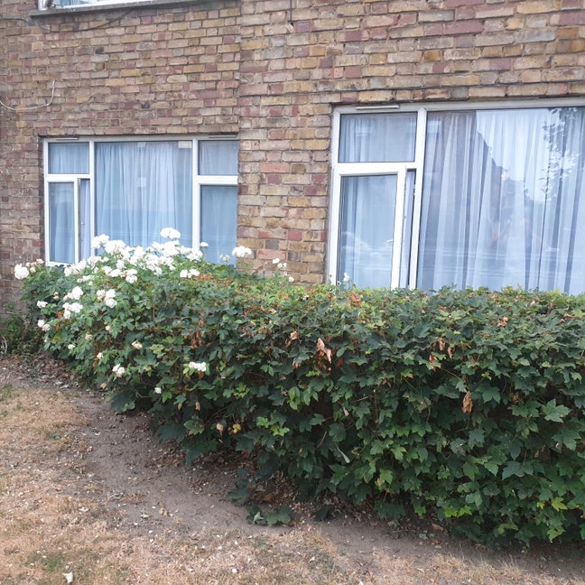 Two Spacious Rooms for Rent – From 1st September Main Photo