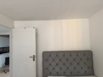 Room available to rent Main Photo