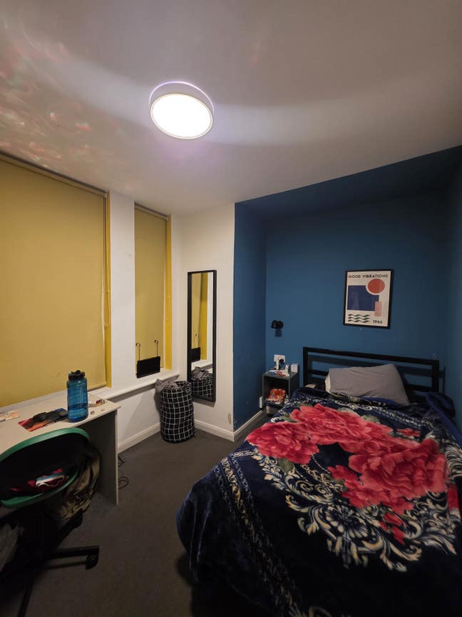 Room for rent all bills included Main Photo
