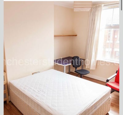 Looking for a replacement tenant in a shared house Main Photo