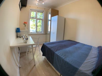 Single  Room in Acton Main Photo