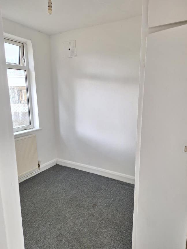 Single Room Available  Main Photo