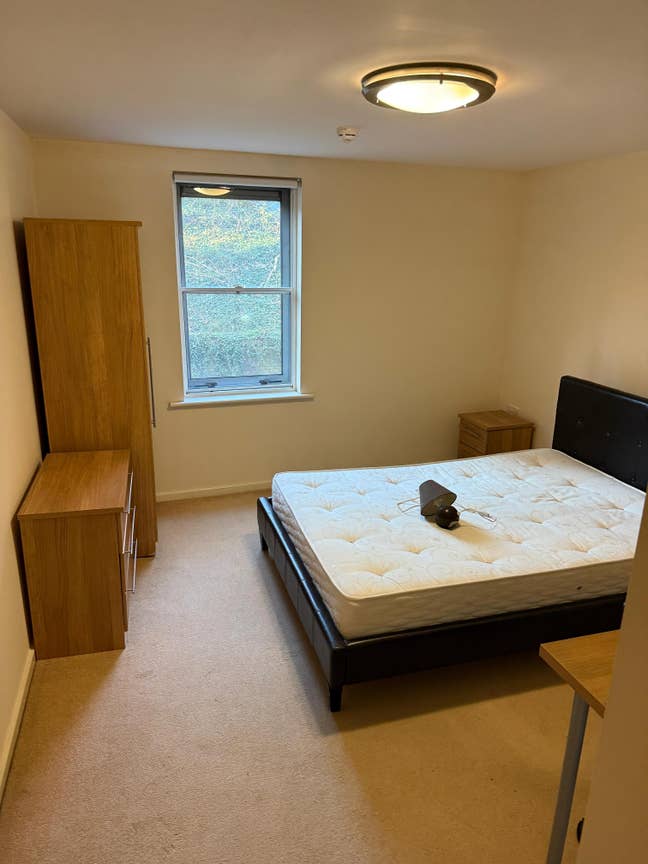 Room for rent in quayside apartment Main Photo
