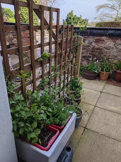 Double room in Porlock Main Photo