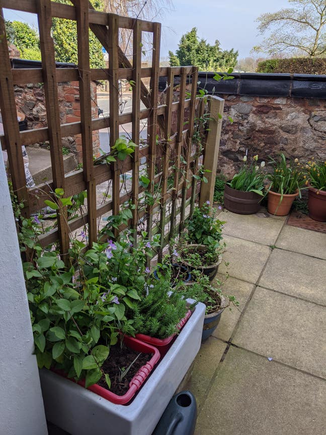 Double room in Porlock Main Photo