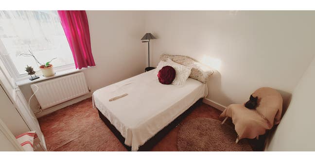 1 double bedroom Fareham Main Photo