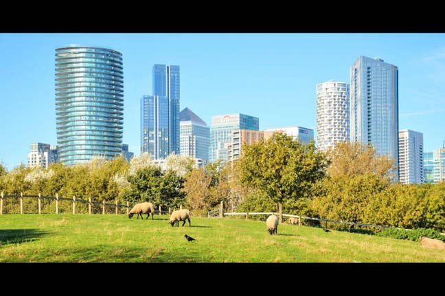 2 Lovely Fresh Double Rooms in Canary Wharf/E14 Main Photo