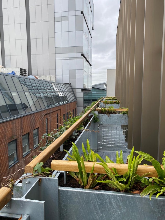 Vegans Only 💚 Spare Room in City Centre Main Photo
