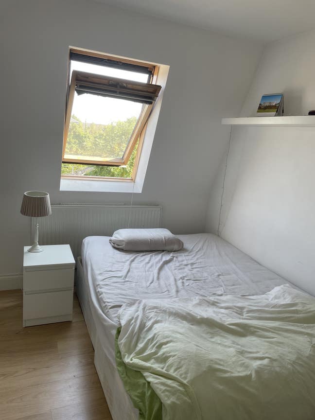 Bright room in friendly student flatshare  Main Photo