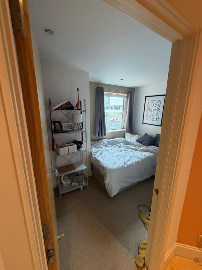 Bright Double Room – 1 Month, Pimlico/Victoria Main Photo