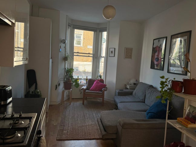 We’re looking for a lovely new flatmate for our 3  Main Photo