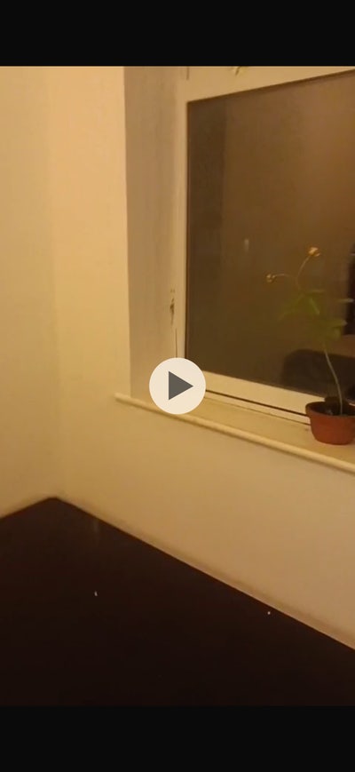 Rooms Available at a Cozy house and lovely nei  Main Photo