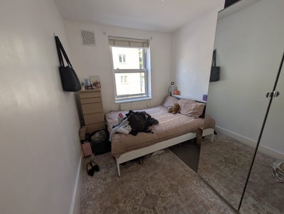 Cute Sociable Veggie Flat in Shoreditch  Main Photo
