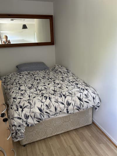 Spacious Room Quiet Flat Immediate Avail Bills Inc Main Photo