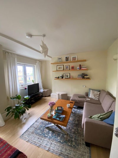 Will you be our next favoriete roommate? Main Photo