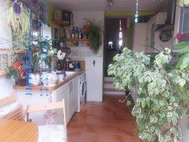 2 beautiful rooms in vegetarian household  Main Photo