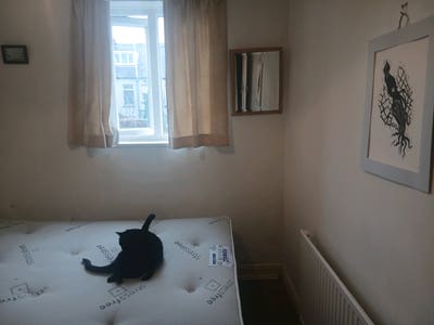 Small Room in a Creative Household Main Photo
