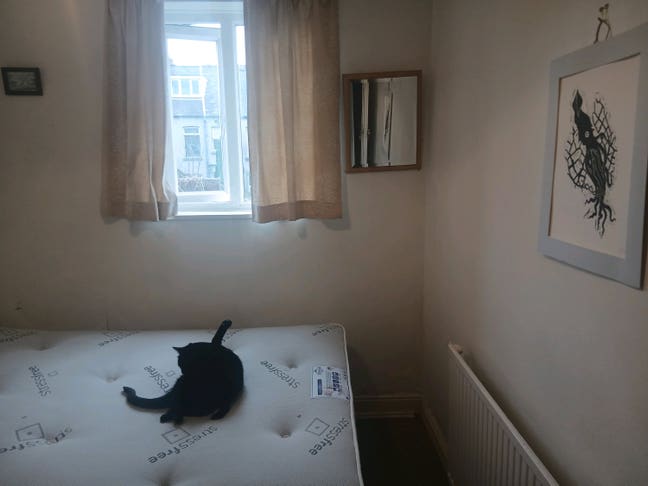 Small Room in a Creative Household Main Photo